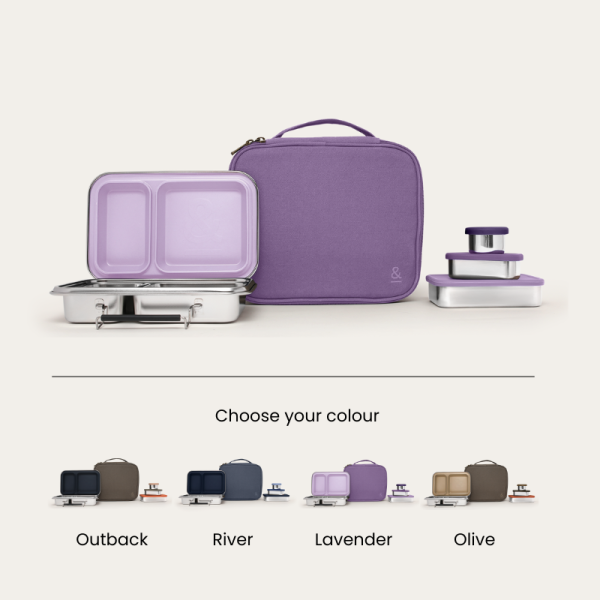 Bento Box Adult Lunch Bundle - Image 2