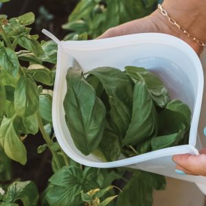 Silicone Food Pouch Set | Small & Mini - Image 9