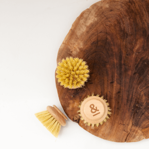 Dish Brush Head Replacement | 3pk Regular - Image 5
