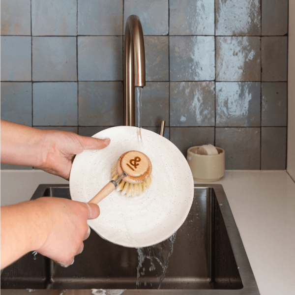 Dish Brush | Beechwood - Image 6