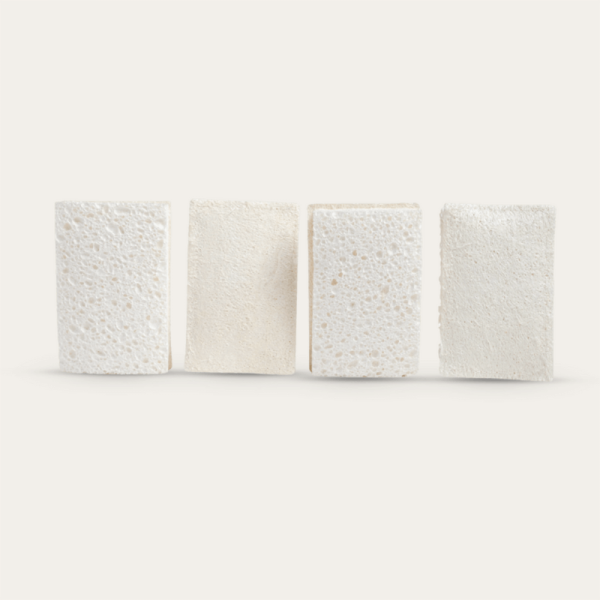Compostable Sponge with Scourer