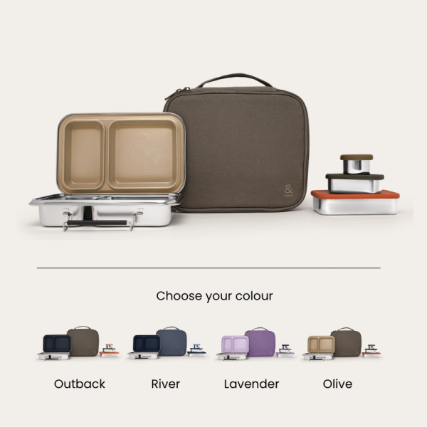 Bento Box Adult Lunch Bundle