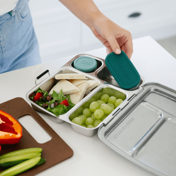 2 Pot Set - Stainless Steel Snack Containers - Image 19